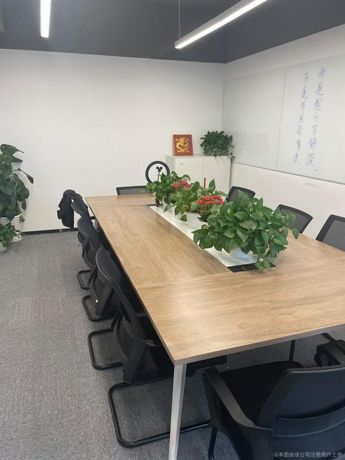 四川虎鲸汇金融服务外包